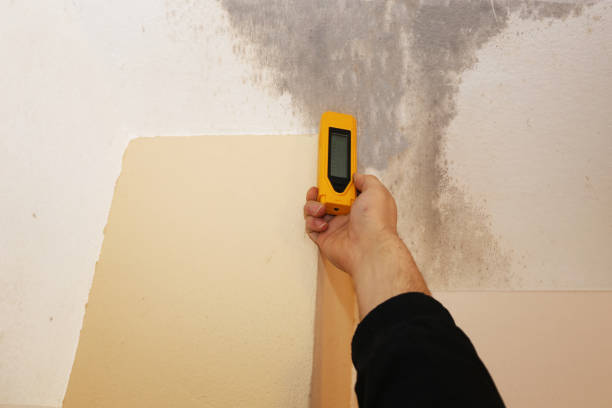 Best Industrial Mold Remediation  in Odon, IN