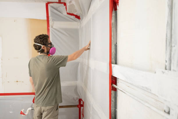 Best Asbestos and Lead Testing During Mold Inspection  in Odon, IN