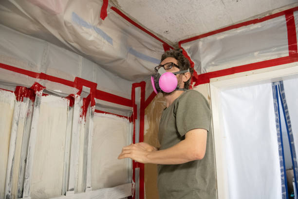 Best Biohazard Mold Removal  in Odon, IN