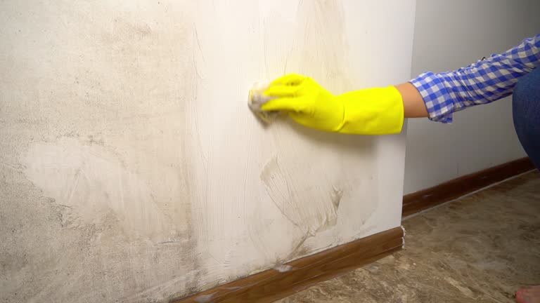 Best Forensic Mold Investigation  in Odon, IN