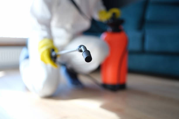 Forensic Mold Investigation in Odon, IN