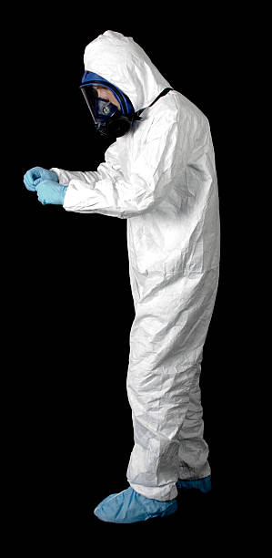 Reliable Odon, IN Mold Removal Solutions